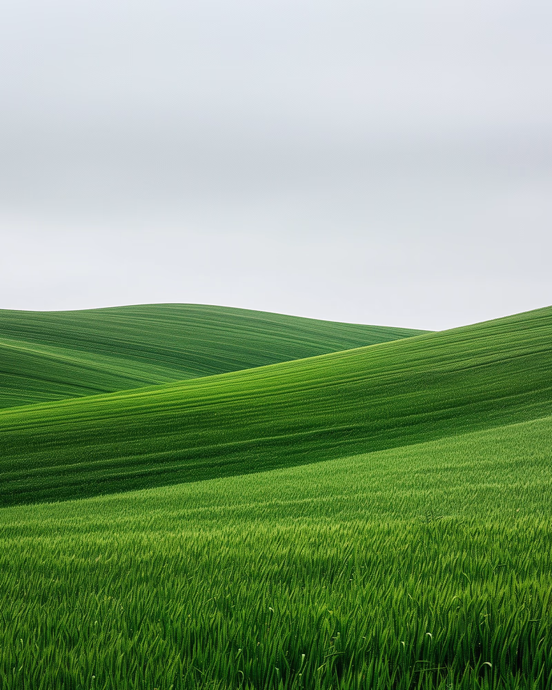 BG Image