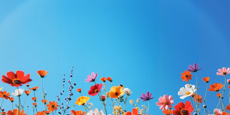 BG Image